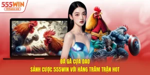 Đá Gà Cựa Dao - Sảnh Cược 555win Với Hàng Trăm Trận Hot