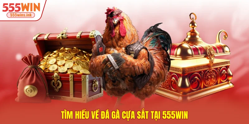 Tìm hiểu về đá gà cựa sắt tại 555WIN